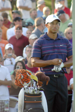 "Phenomenal" crowds greet Woods